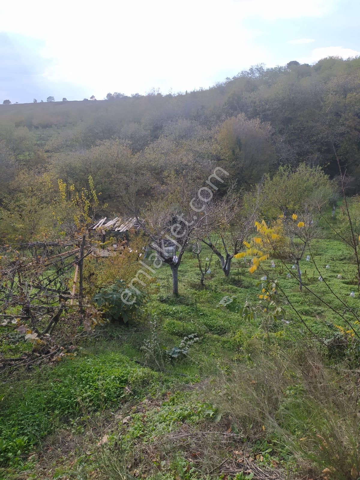 Çakıl Mahallesinde 2366 M² Yola Cepheli Bahçe Arsa Ev Yapımın - Görsel 3