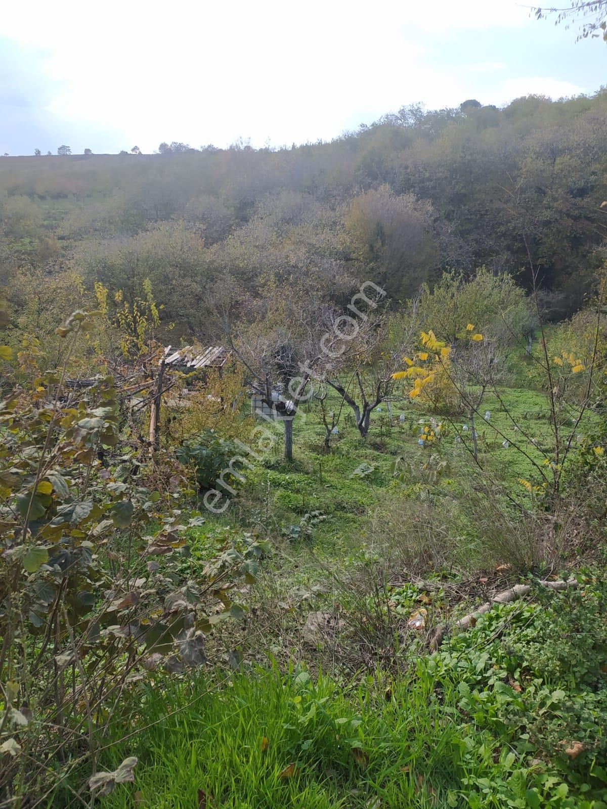 Çakıl Mahallesinde 2366 M² Yola Cepheli Bahçe Arsa Ev Yapımın - Görsel 4