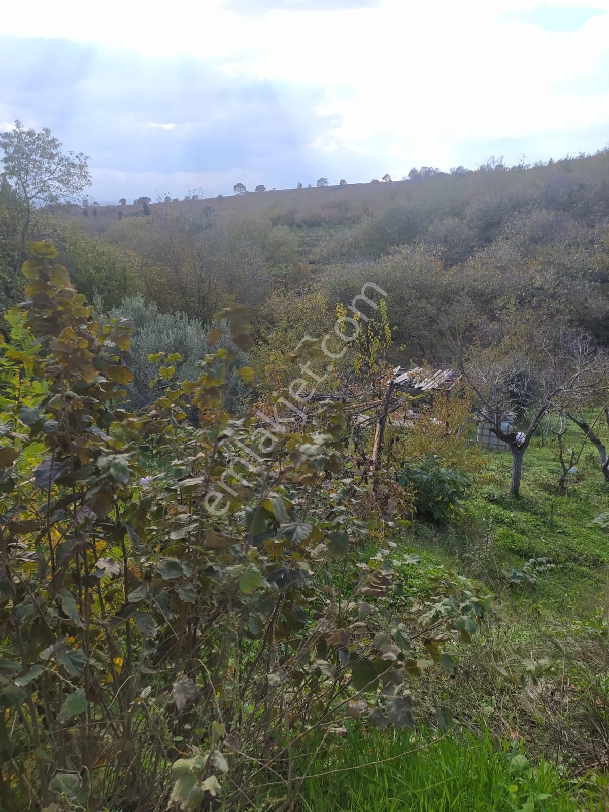 Çakıl Mahallesinde 2366 M² Yola Cepheli Bahçe Arsa Ev Yapımın - Görsel 2