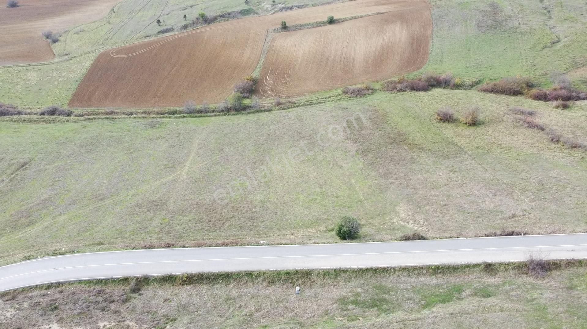 Fırsat! Asfalt Yola Cepheli 4.130 M2 Satılık Arsa Şile/ağva - Görsel 10