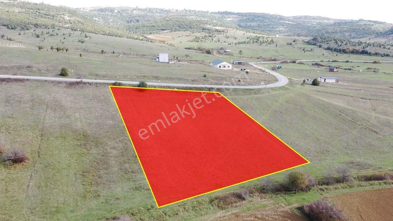 Fırsat! Asfalt Yola Cepheli 4.130 M2 Satılık Arsa Şile/ağva - Görsel 8