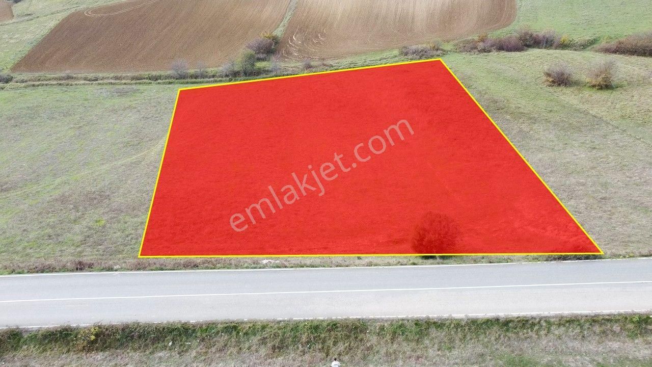 Fırsat! Asfalt Yola Cepheli 4.130 M2 Satılık Arsa Şile/ağva - Görsel 14