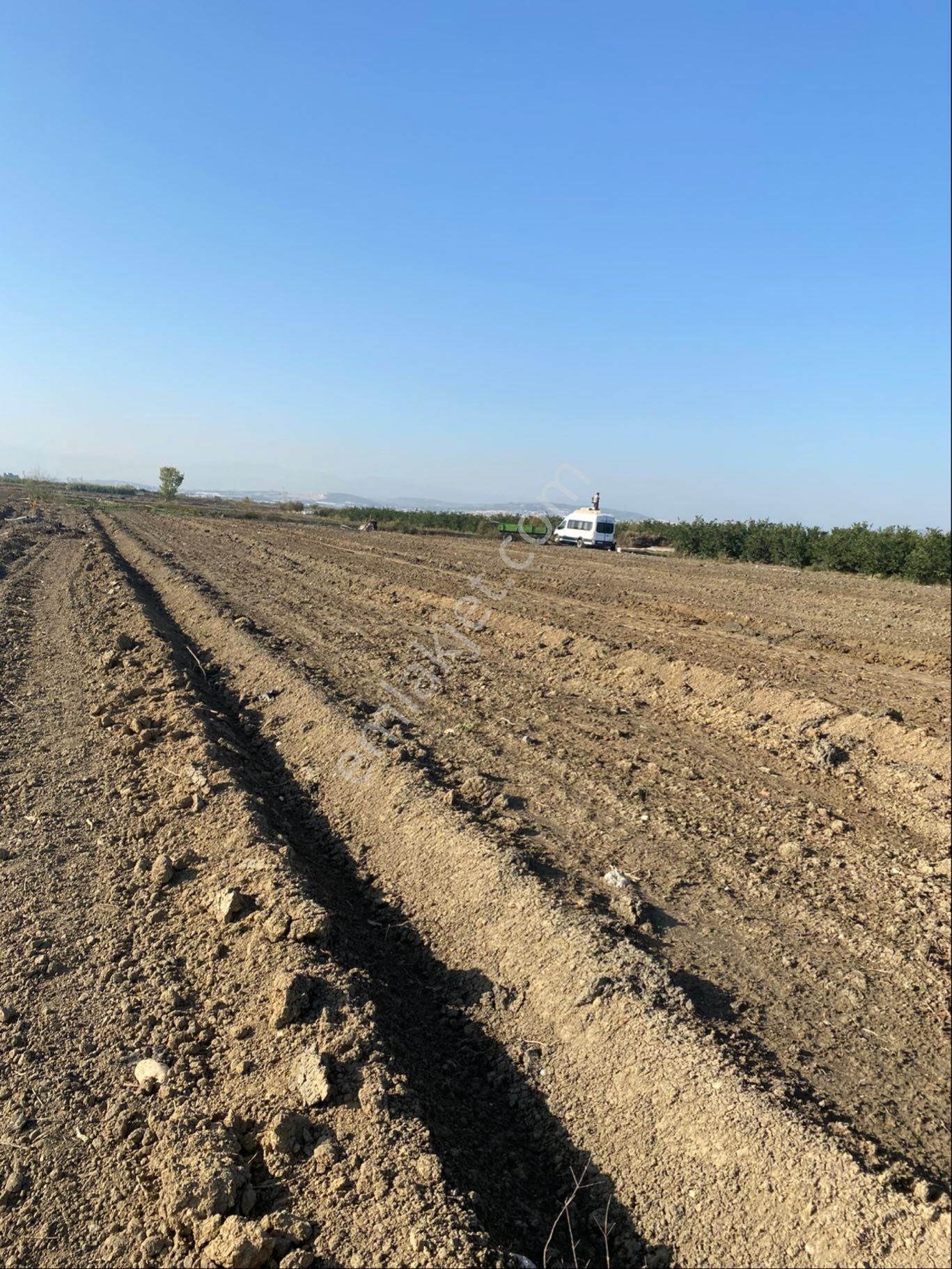 Atalar Köyünde Bulunan Tarlamız Satılıktır - Görsel 2
