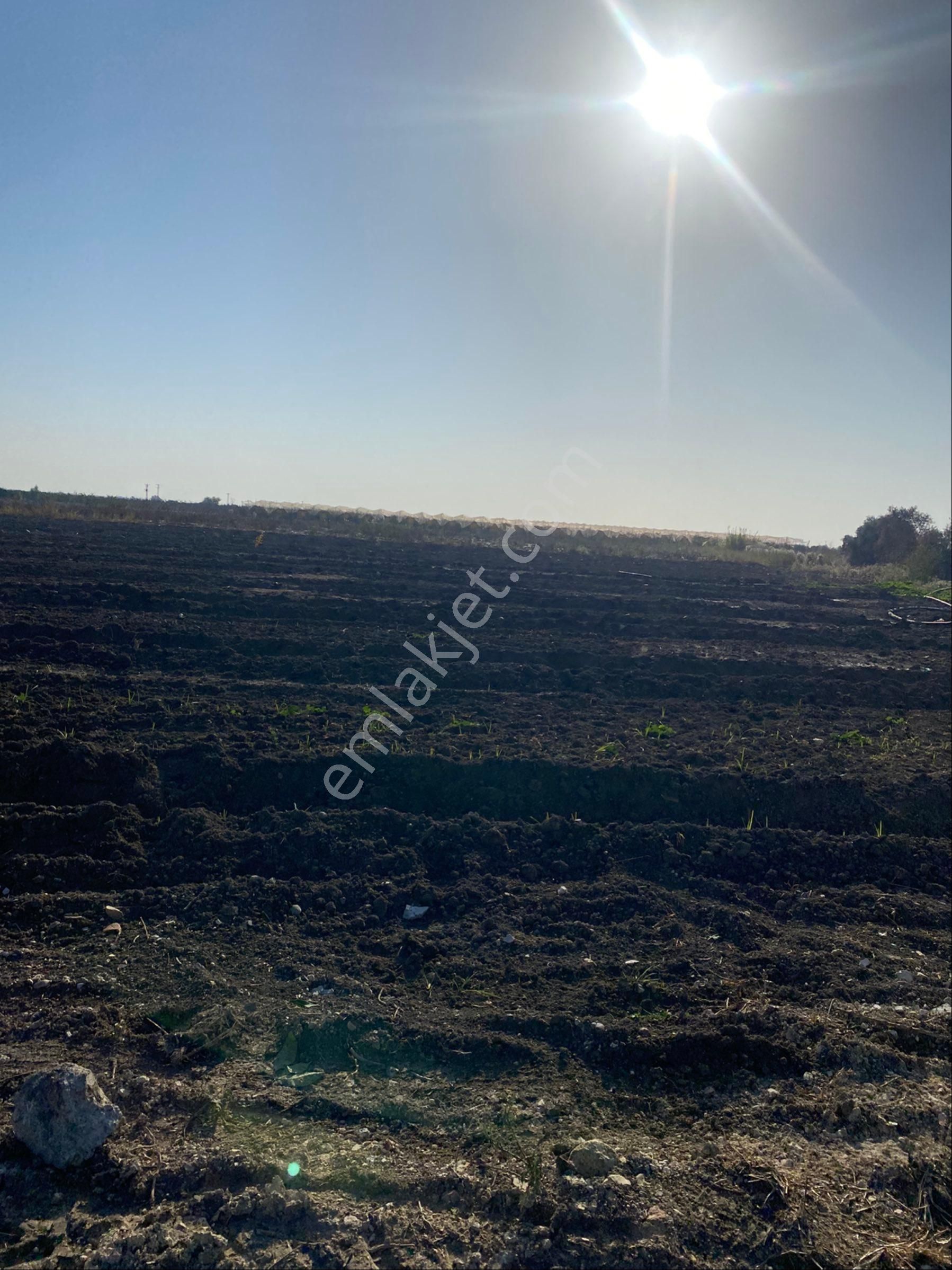 Atalar Köyünde Bulunan Tarlamız Satılıktır - Görsel 8