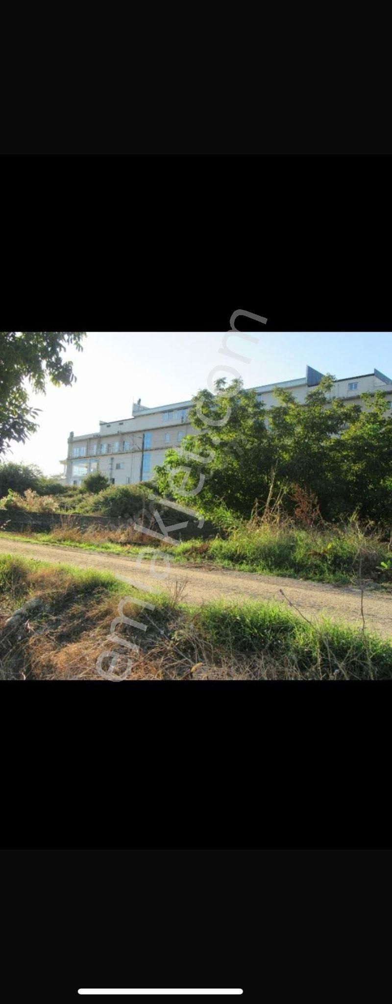 Satılık Pamukova Hayrettin Azda Olsa Pazarlık Payı Vardır - Görsel 3