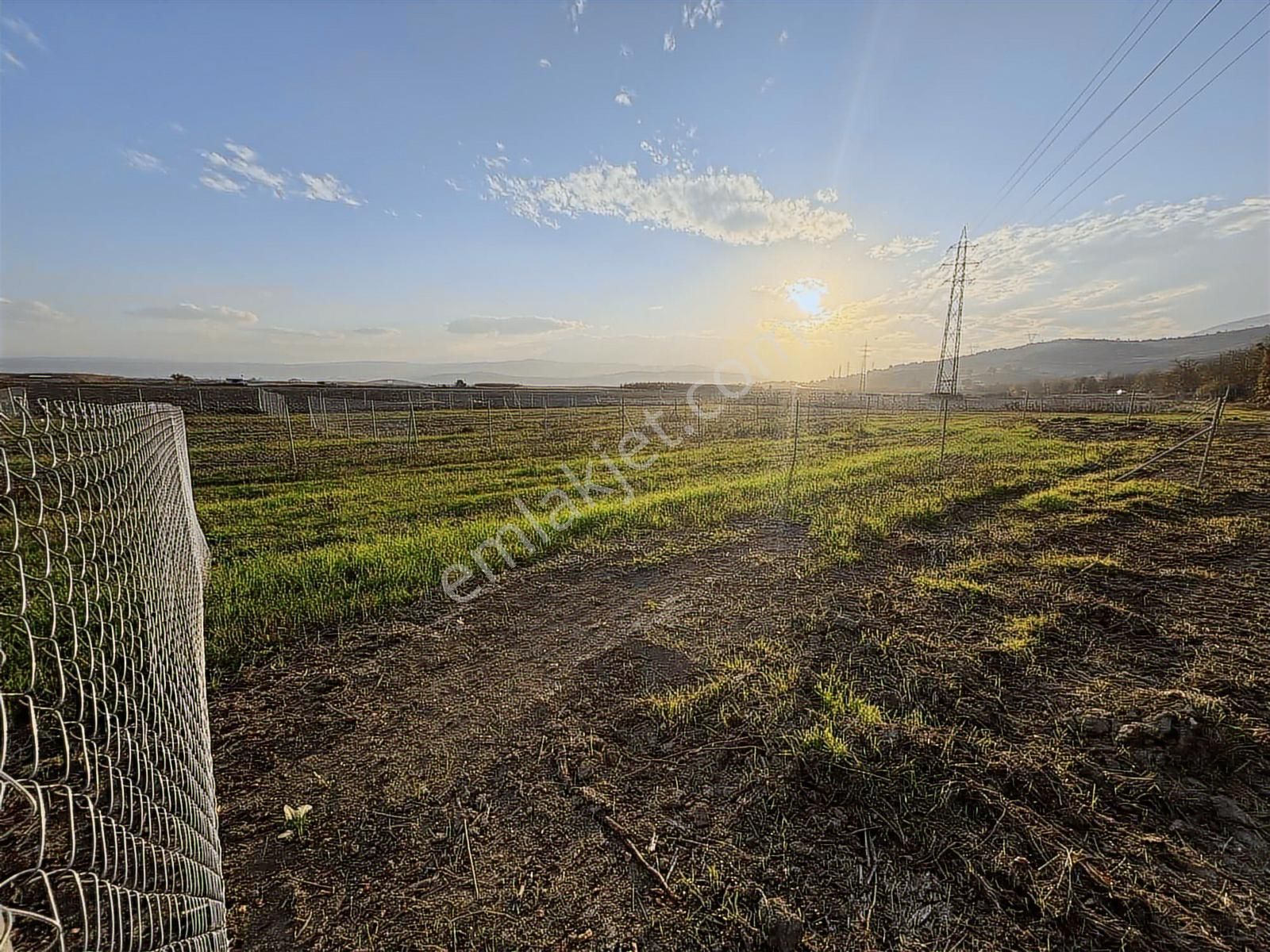 Yenişehir Marmaracık'da Asfaltın Dibin'de 164 M2 Hobi Bahçesi - Görsel 7