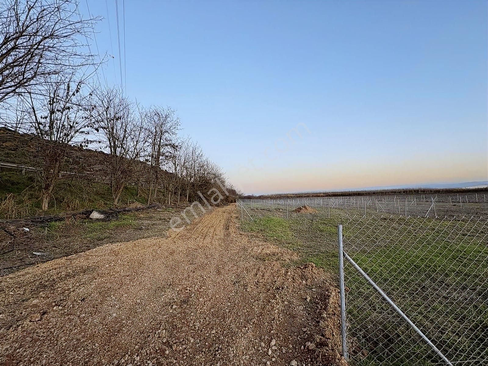 Yenişehir Marmaracık'da Asfaltın Dibin'de 164 M2 Hobi Bahçesi - Görsel 3