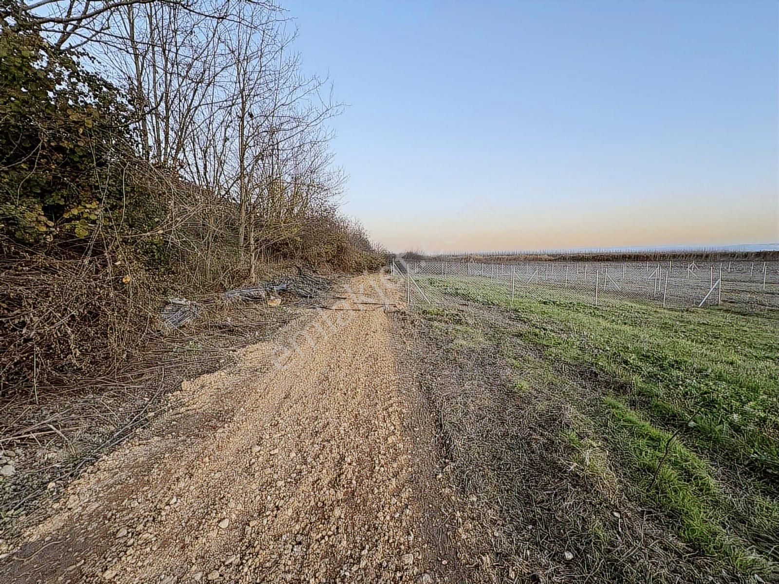 Yenişehir Marmaracık'da Asfaltın Dibin'de 164 M2 Hobi Bahçesi - Görsel 8