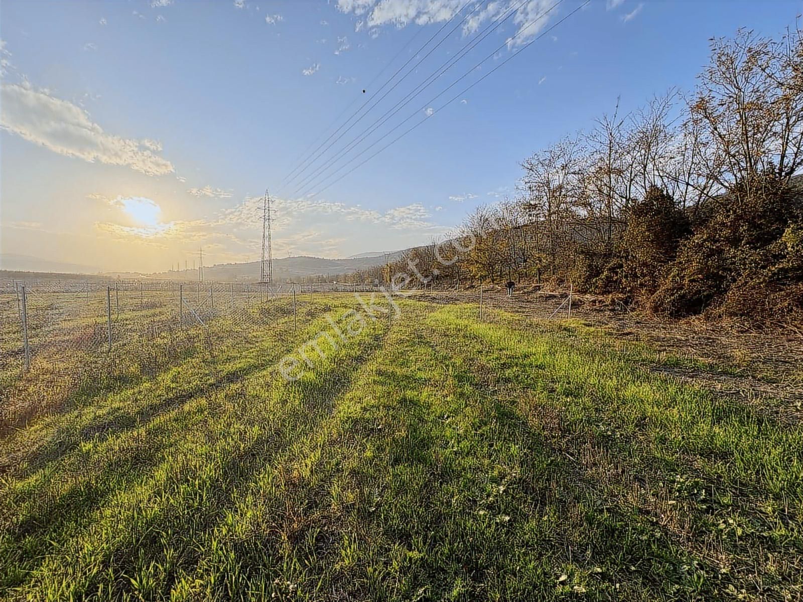 Yenişehir Marmaracık'da Asfaltın Dibin'de 164 M2 Hobi Bahçesi - Görsel 13