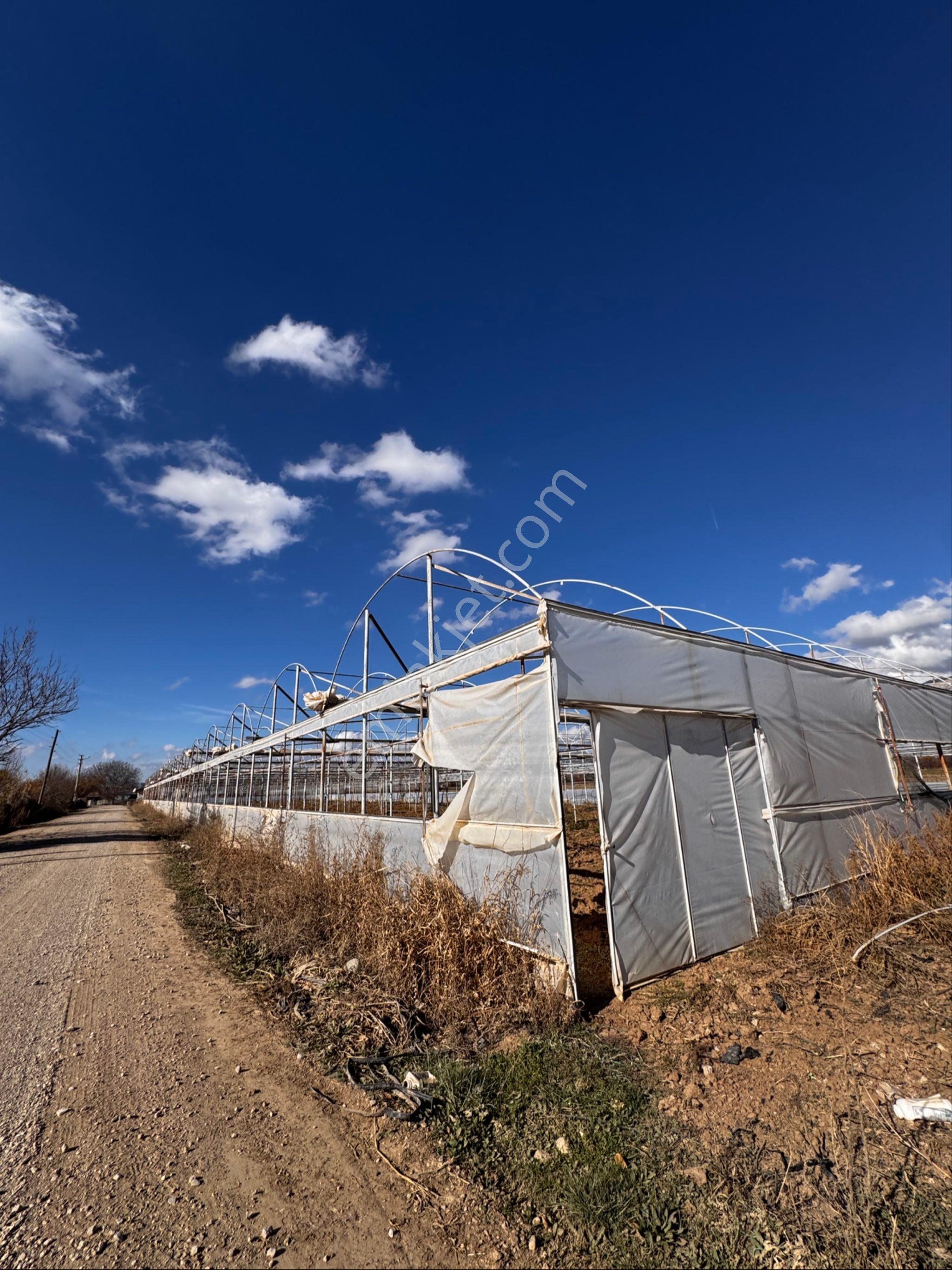 Avcular Emlak Dan Satılık Sera 3246 M2 Isparta Atabey Harmanören De - Görsel 21