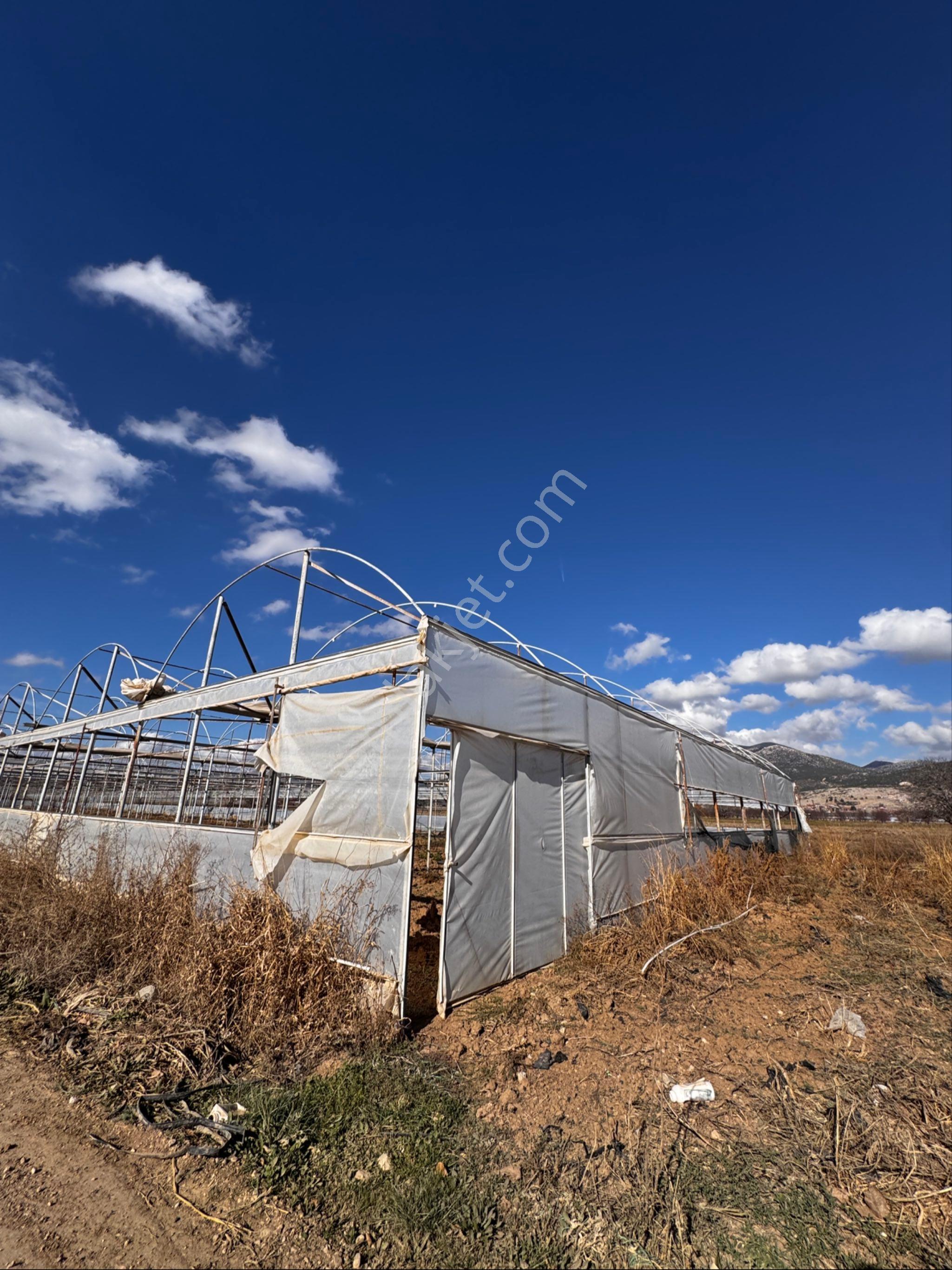 Avcular Emlak Dan Satılık Sera 3246 M2 Isparta Atabey Harmanören De - Görsel 23