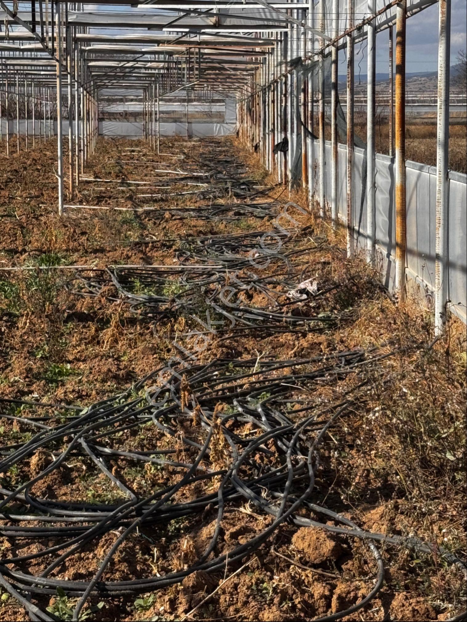 Avcular Emlak Dan Satılık Sera 3246 M2 Isparta Atabey Harmanören De - Görsel 24