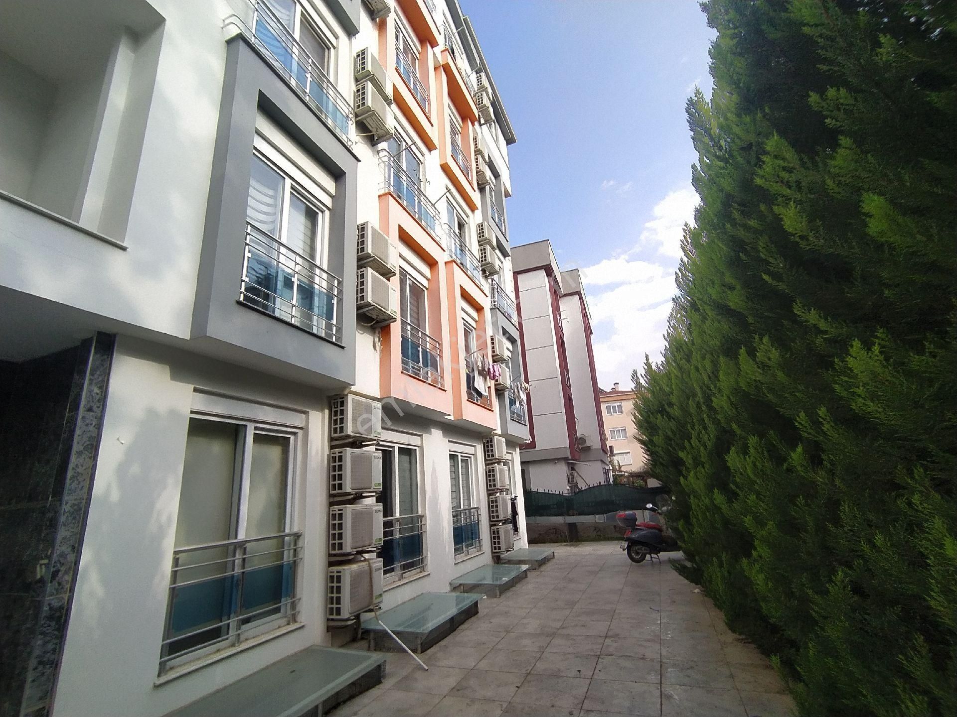 Ahatlı'da 1+0 Paylaşımlı Oda - Görsel 4