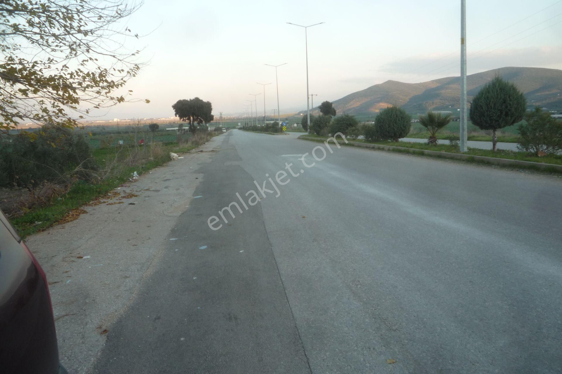 İzmir Torbalı Gold Emlaktan Satılık Güzel Konumda Tarla - Görsel 2