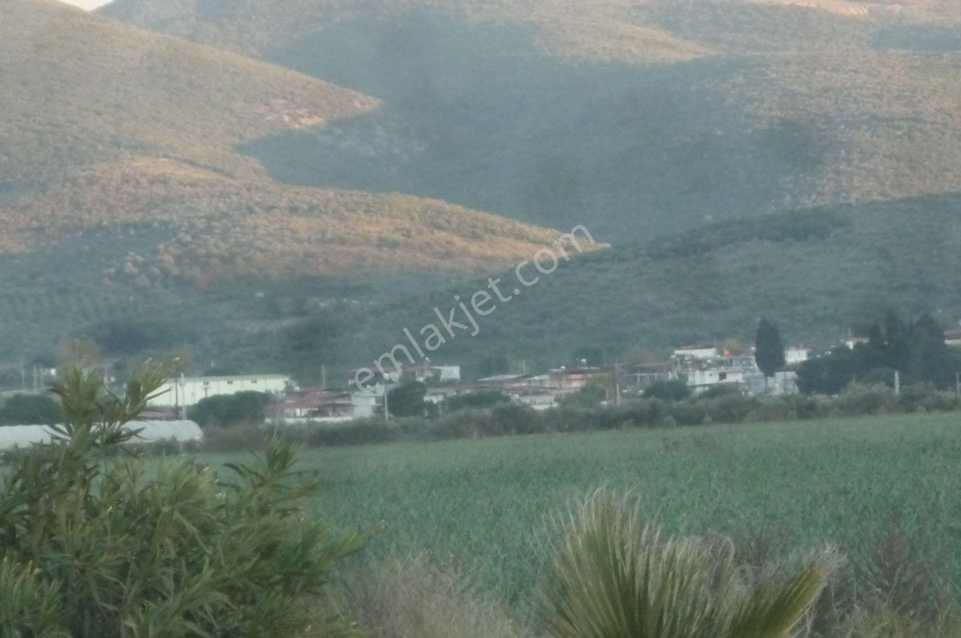 İzmir Torbalı Gold Emlaktan Satılık Güzel Konumda Tarla - Görsel 8