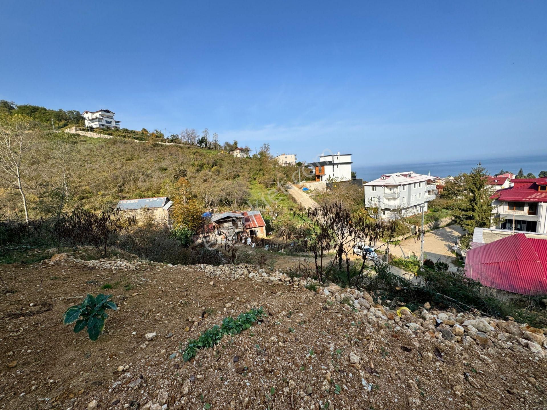 Century 21'den Piraziz'de 703 M² Panoramik Manzaralı Arsa!!! - Görsel 6