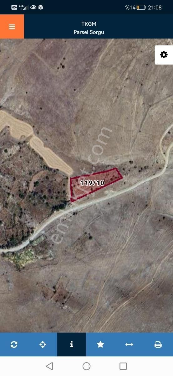 Gesi Büyük Bürüngüzde 3100m2 Bağımız Satlıktır.