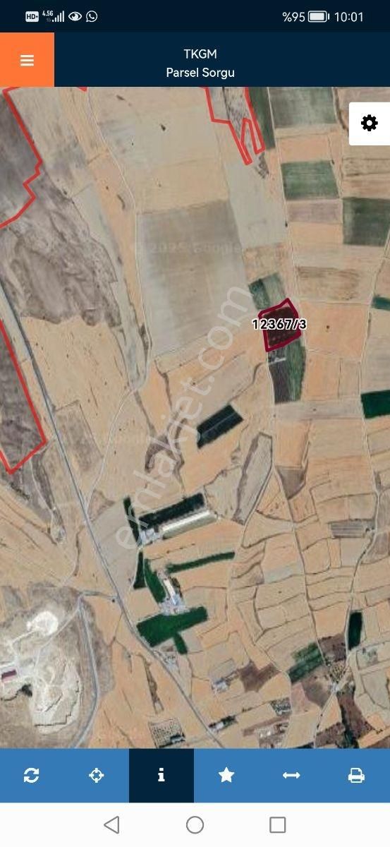 Gesi Büyük Bürüngüzde 15.000m2 Üç Yol Ağzı Tarlamız Satılıktır - Görsel 3