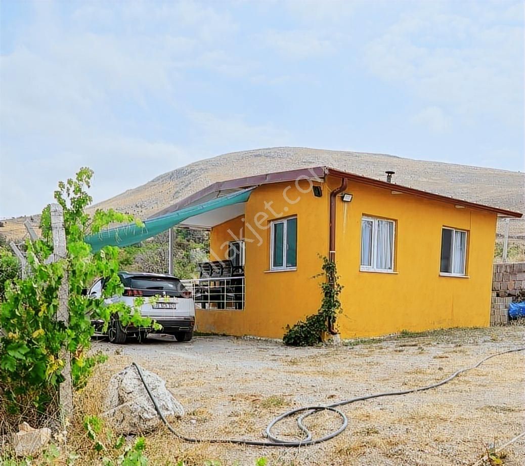 Gesi Büyük Bürüngüz, De Satılık Bağ Evi - Görsel 8
