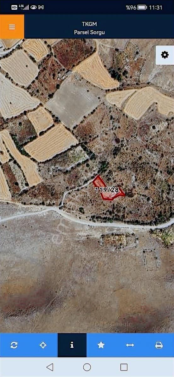 Gesi Büyük Bürüngüz, De Satılık Bağ Evi