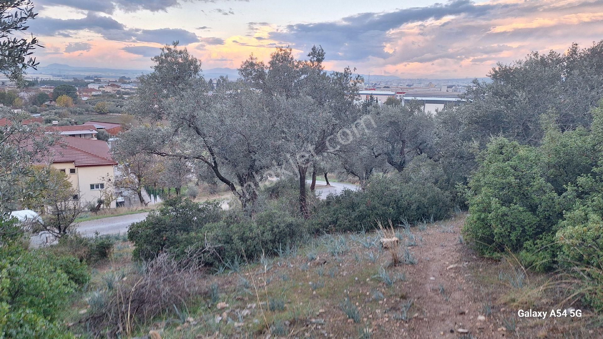 Satılık Da Arsa 463m² - Görsel 11