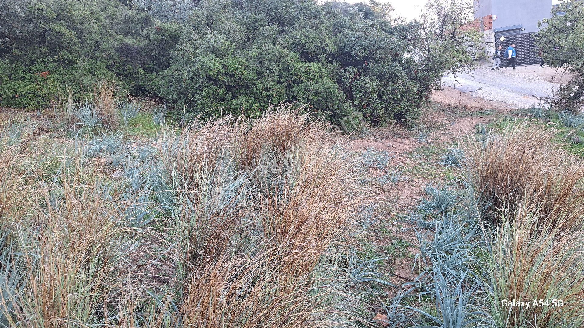 Satılık Da Arsa 463m² - Görsel 15