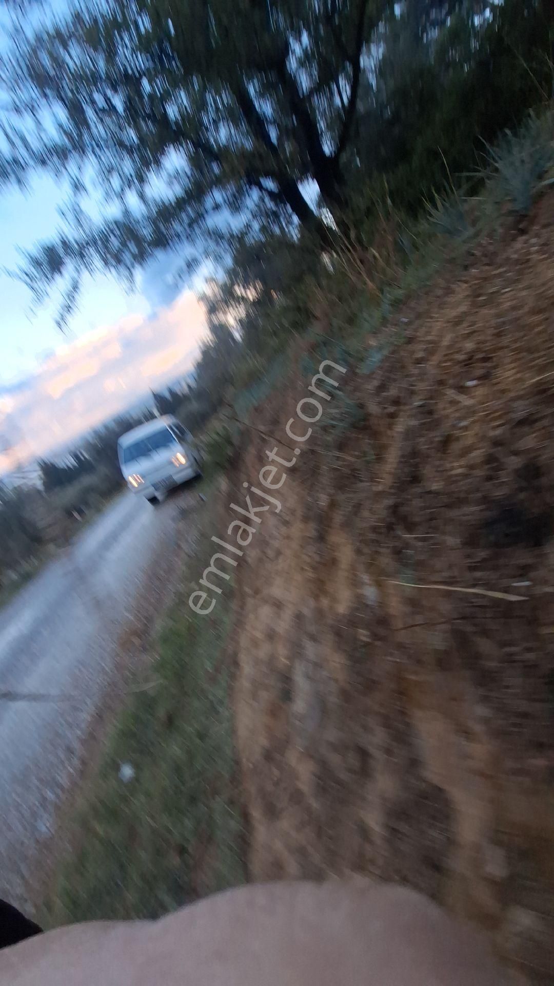 Satılık Da Arsa 463m² - Görsel 25