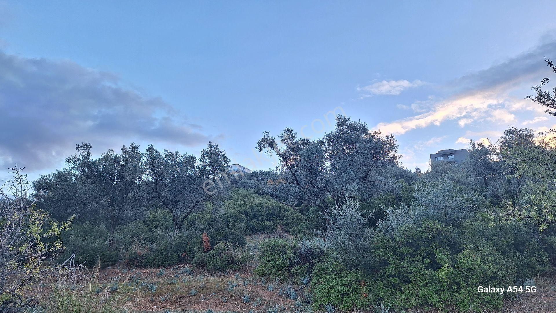 Satılık Da Arsa 463m² - Görsel 5