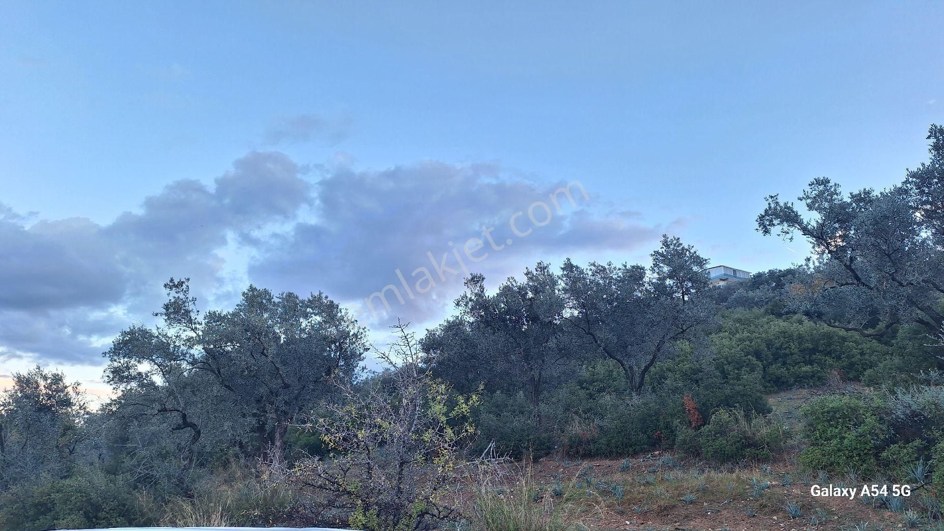 Satılık Da Arsa 463m² - Görsel 4