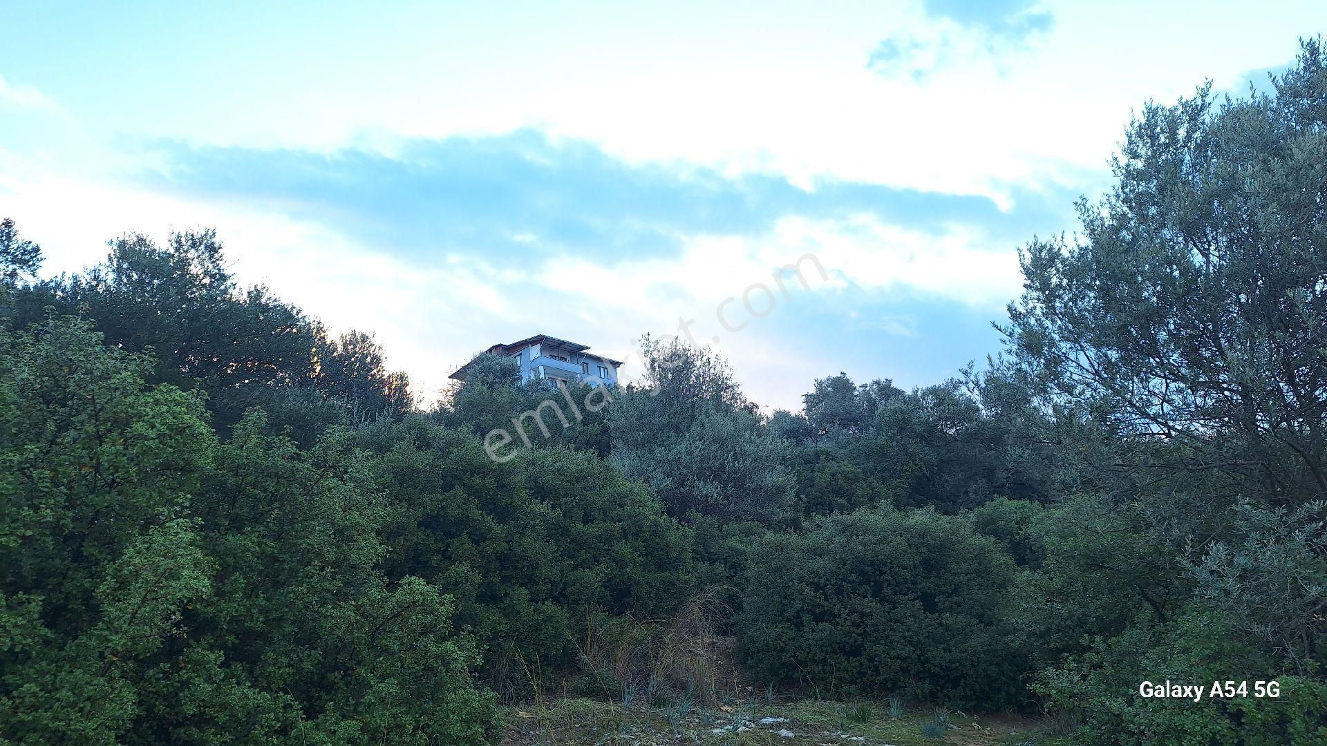 Satılık Da Arsa 463m² - Görsel 8