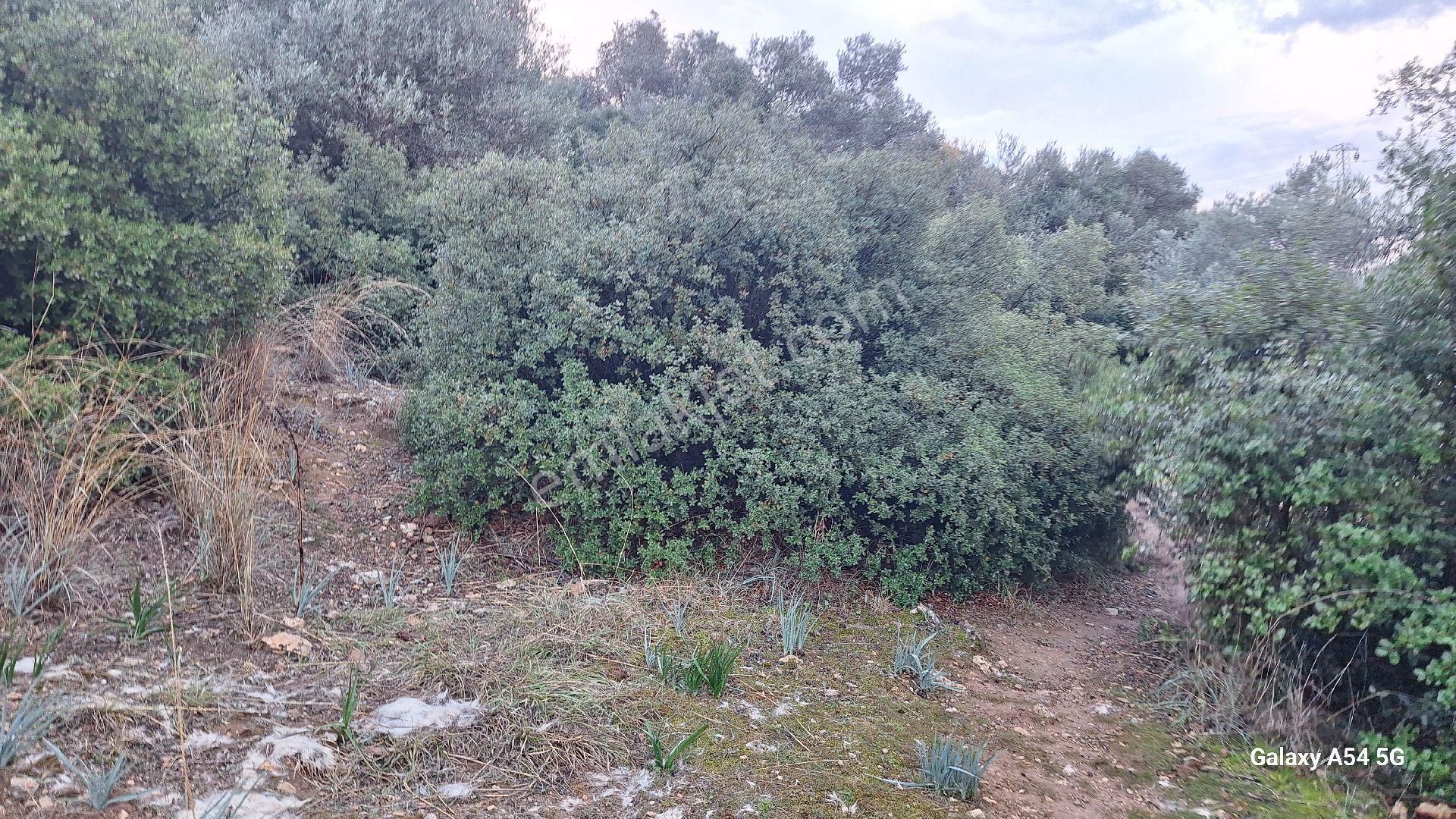 Satılık Da Arsa 463m² - Görsel 12