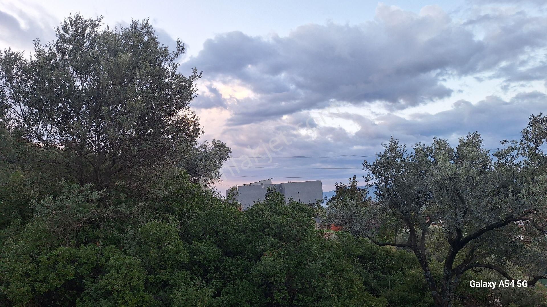 Satılık Da Arsa 463m² - Görsel 9