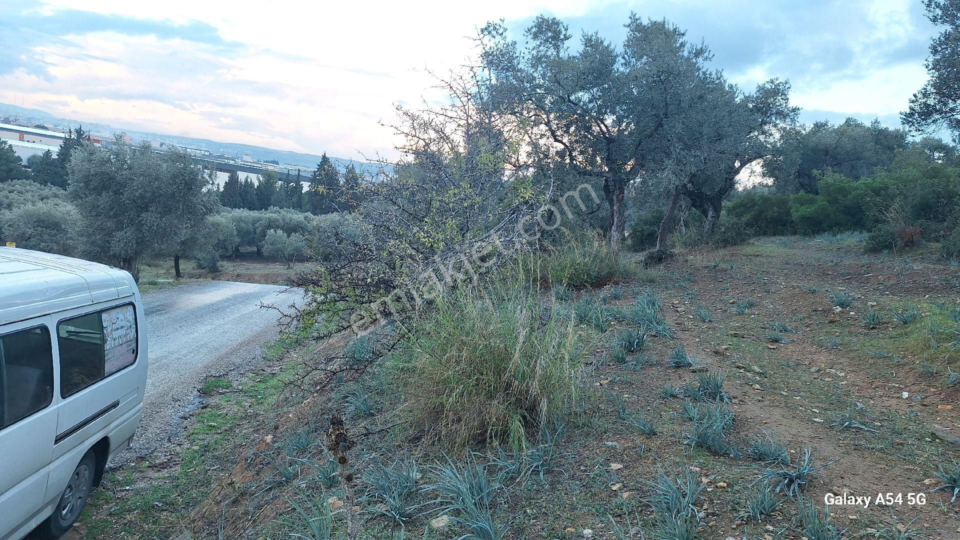 Satılık Da Arsa 463m² - Görsel 6