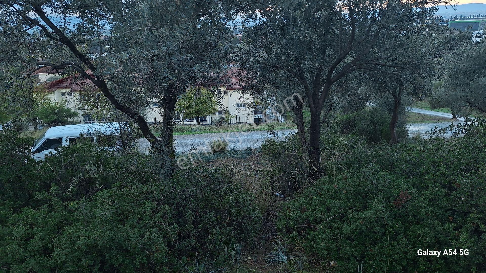 Satılık Da Arsa 463m² - Görsel 7