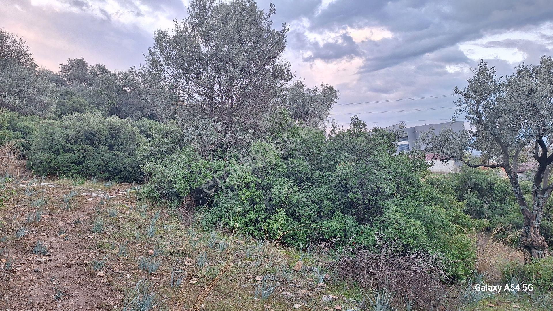 Satılık Da Arsa 463m² - Görsel 10