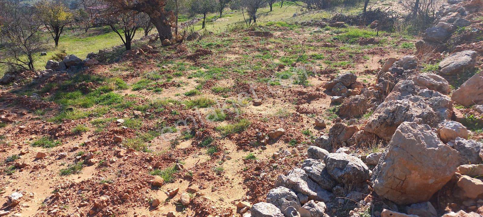 Köy Yerleşim Alanı İçinde Aydıncık Merkeze 5 Km - Görsel 6