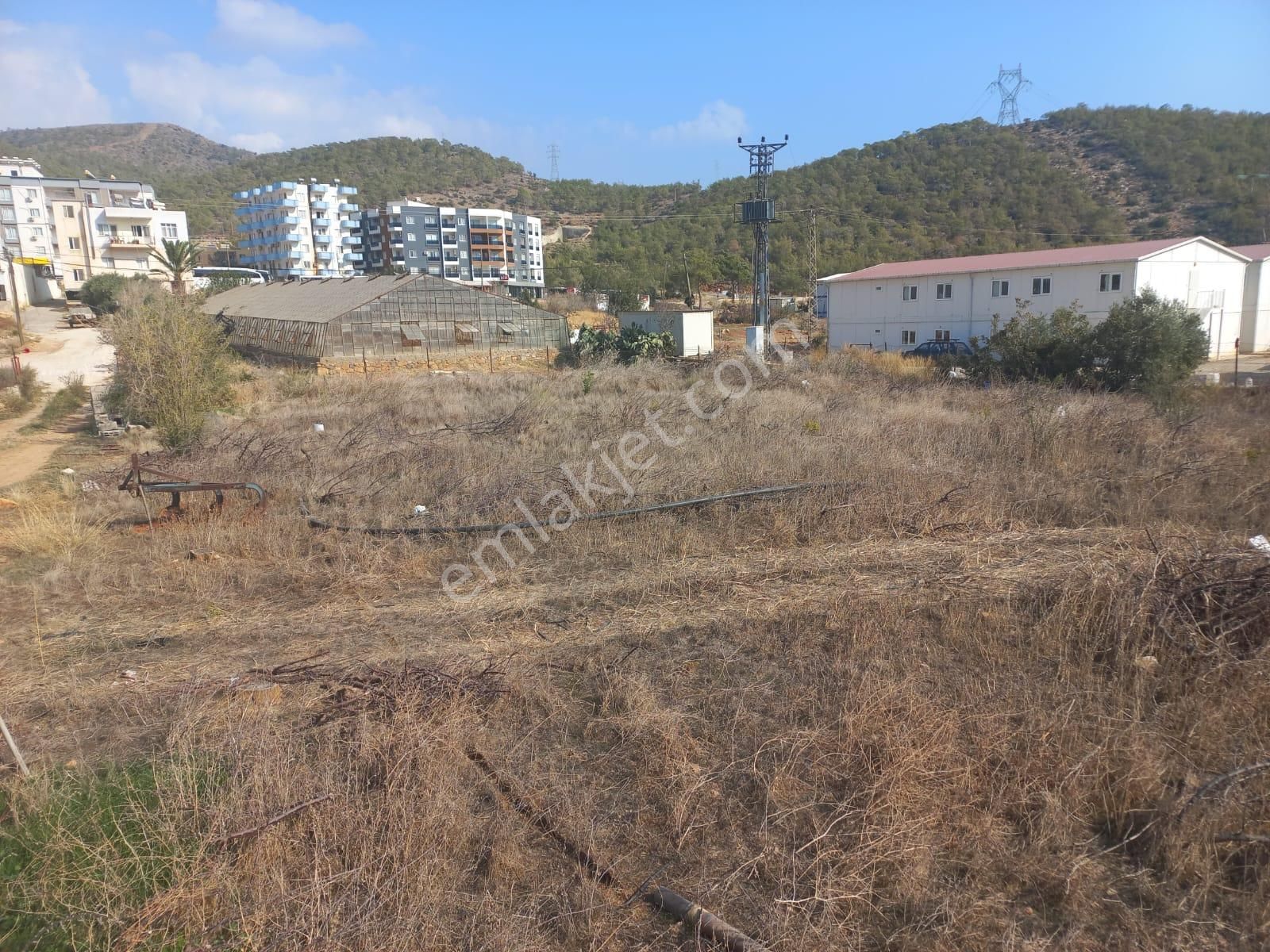 Nükleer Santrale Yakın 5 Dönüm Kiralık Arazi