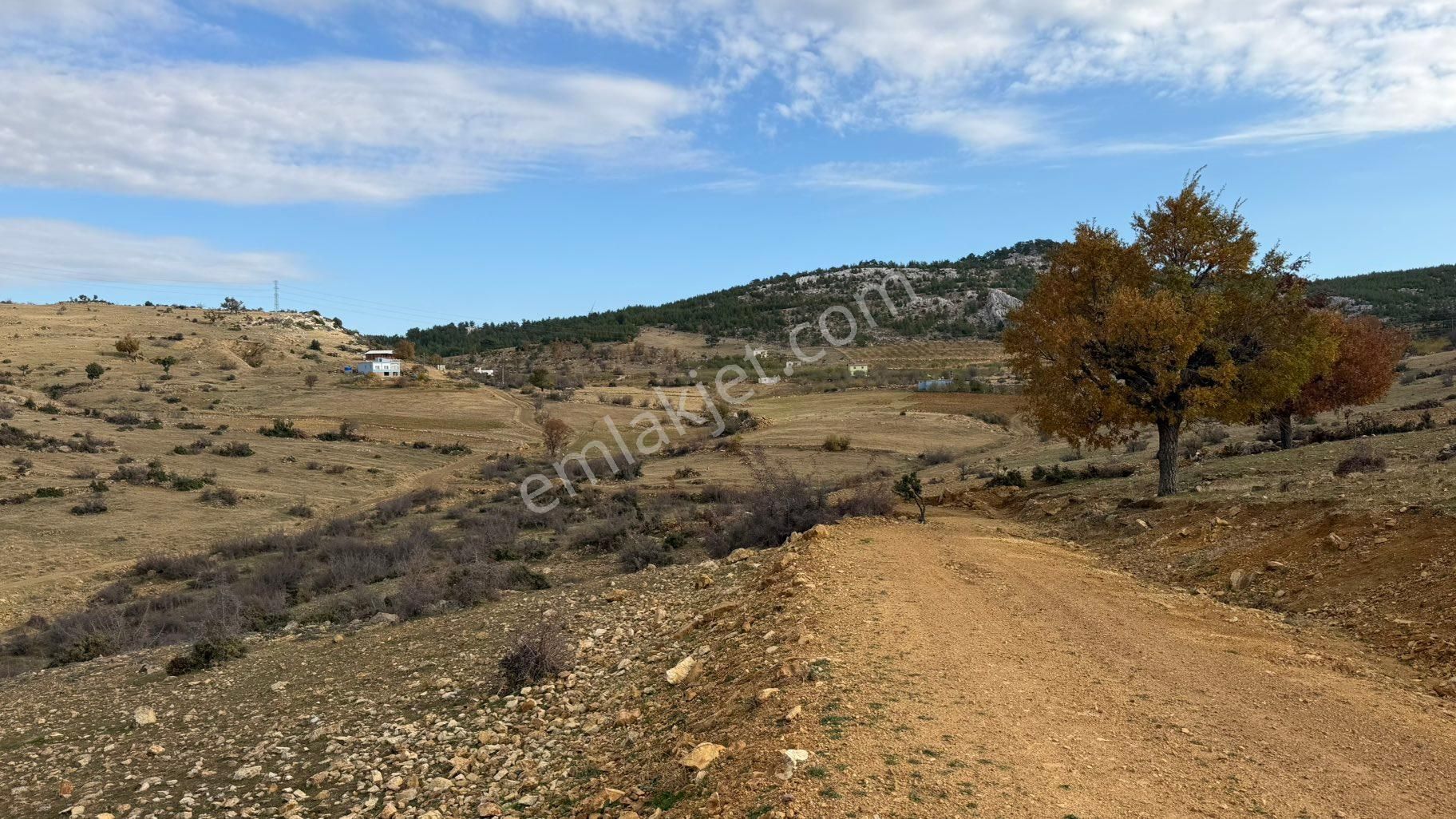 Türe Gayrimenkulden Gülnar Ulupınar Kokarkuyu Yaylasında Satılık Tarla