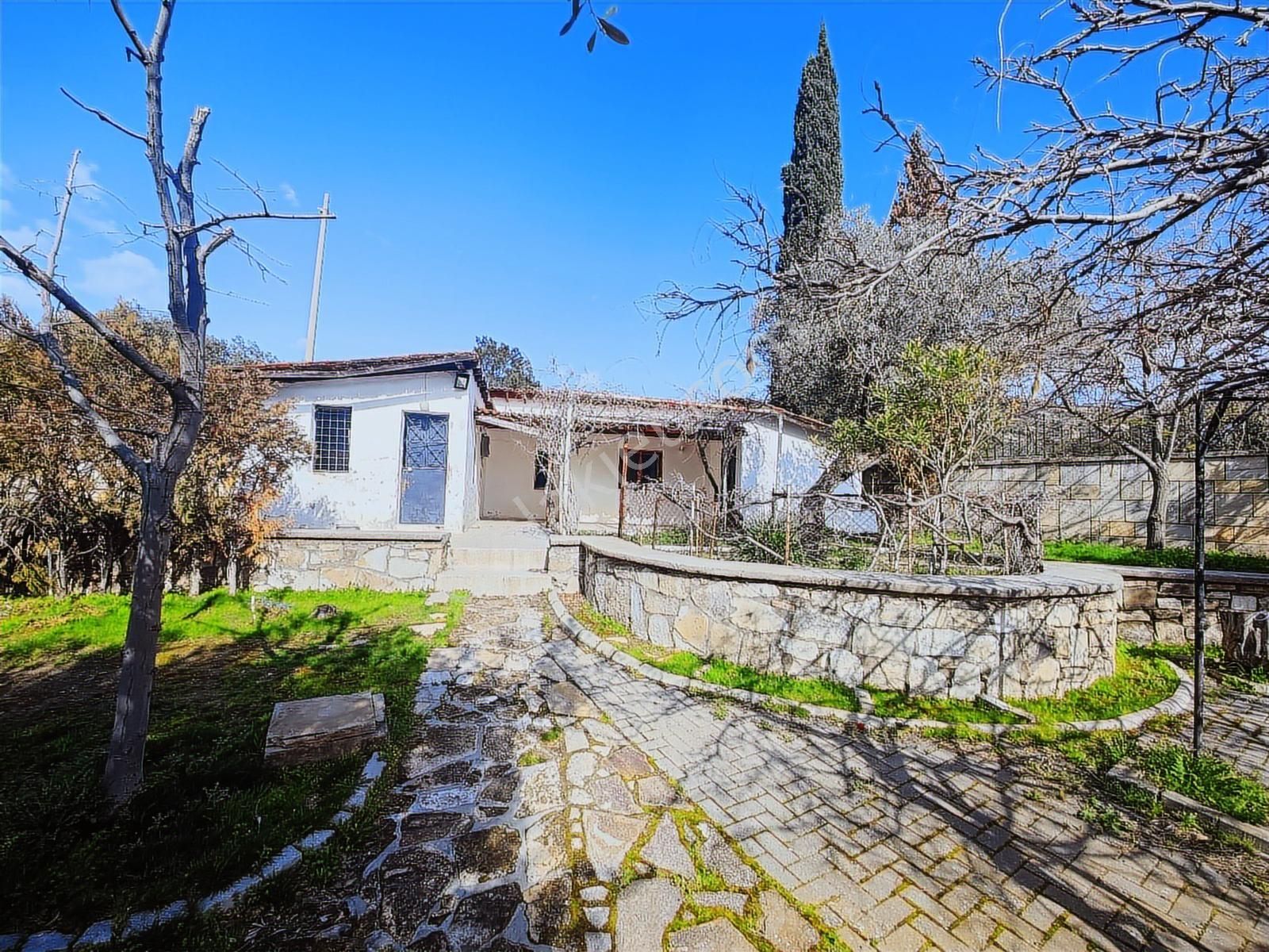 Foça'da 3650 M2 Arsa İçerisinde Satılık Malikane - Görsel 9