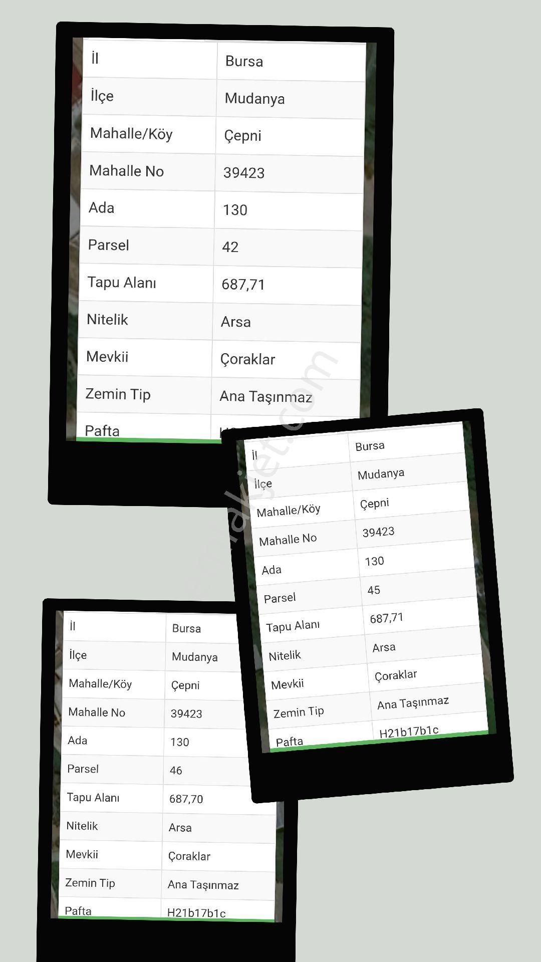 Çepni'de Deniz Manzaralı Arsalar - Görsel 13
