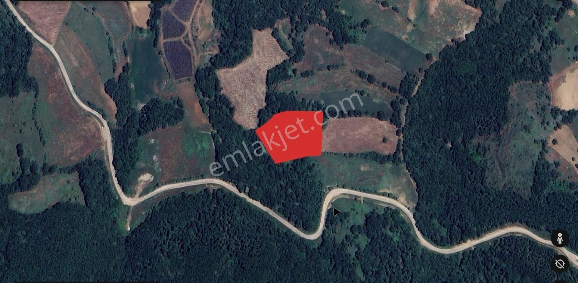 Roma’ Dan Kurşunlu Mahallesi’ Nde Satılık Tarla