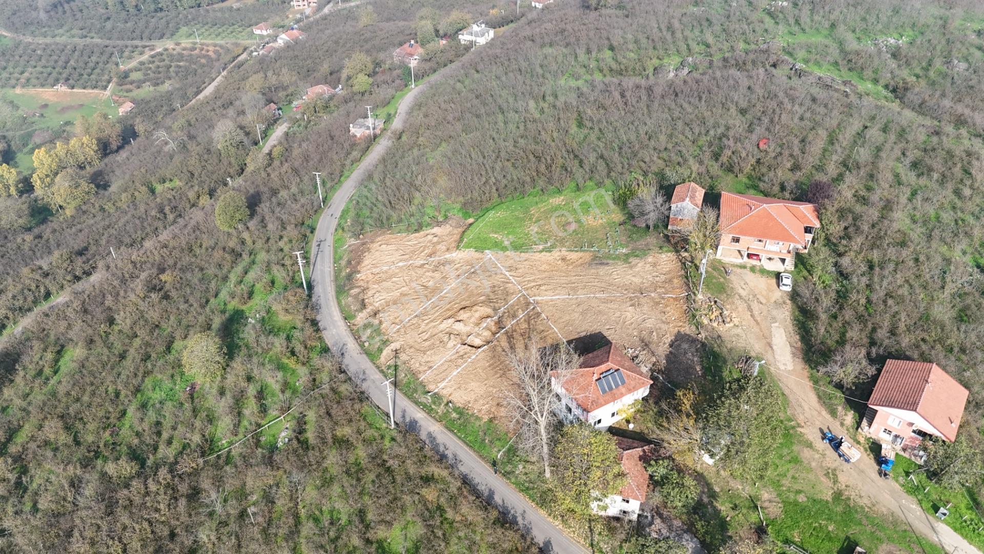 Villa Projeli 388m2 Arsa Doğa Manzaralı Parseller - Görsel 4