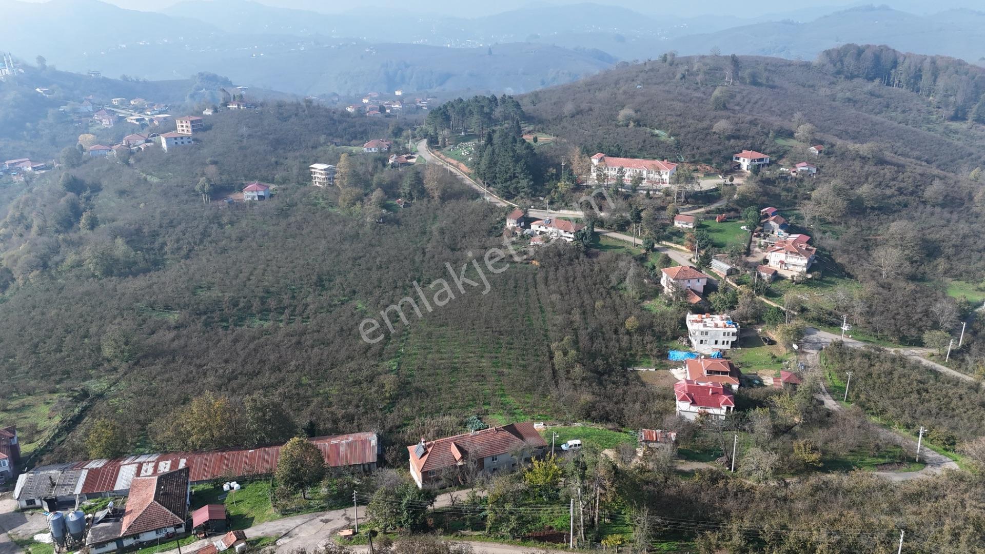 Villa Projeli 388m2 Arsa Doğa Manzaralı Parseller - Görsel 10