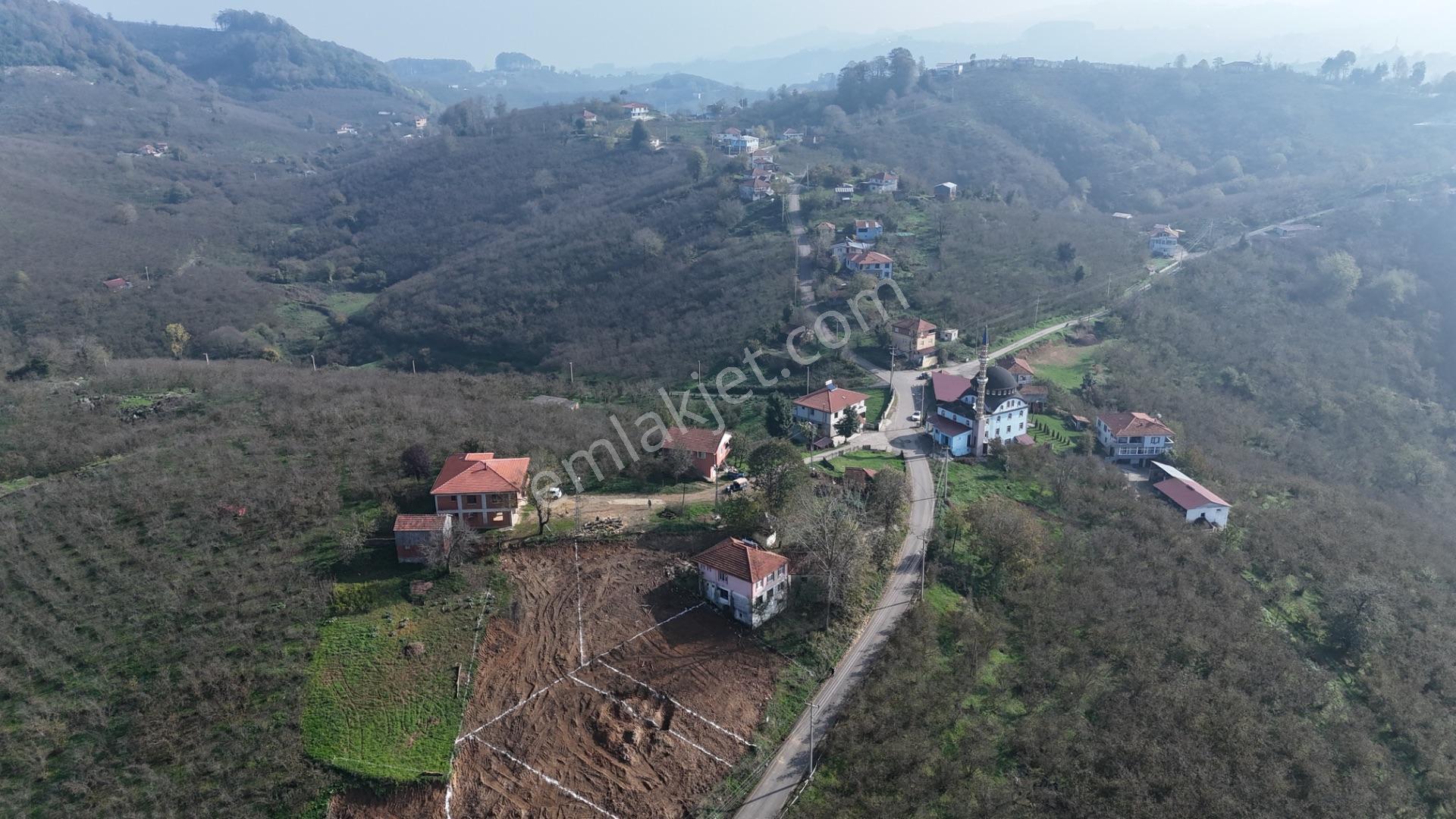 Villa Projeli 388m2 Arsa Doğa Manzaralı Parseller - Görsel 3