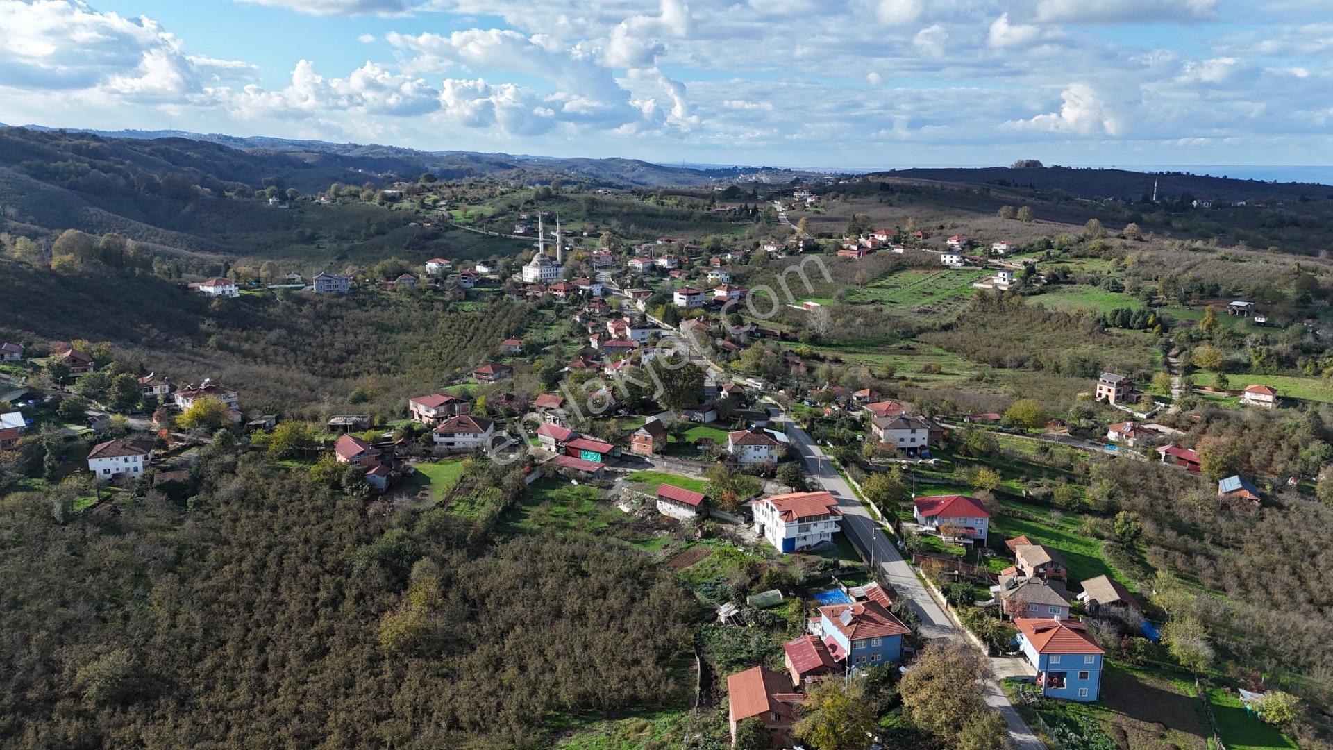 Dubleks Villa Projeli Doğa Manzaralı Merkezi Konumda Parseller - Görsel 15