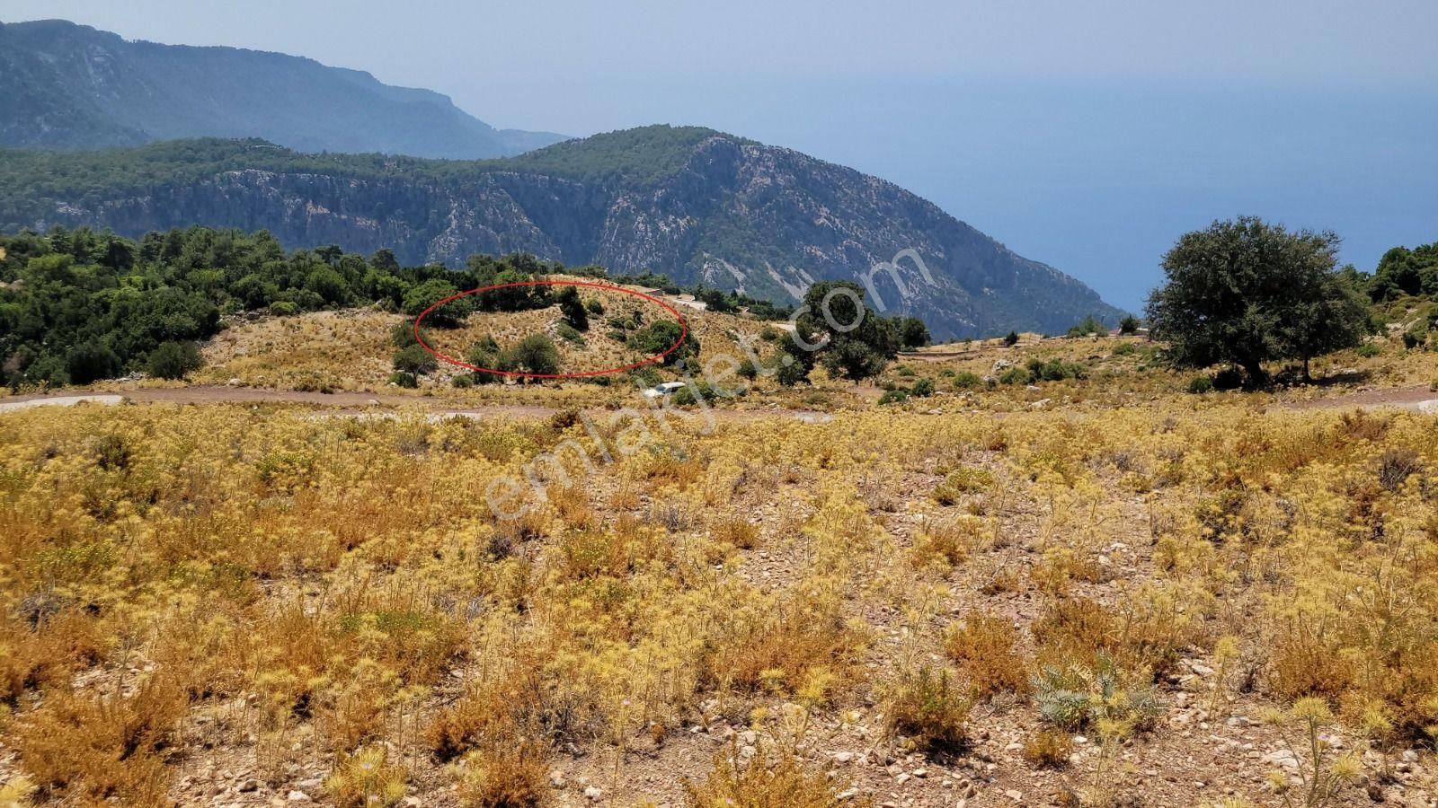 Goldhouse Dan Satılık Karaağaç Kozağacı Nda Deniz Manzaralı Tarla - Görsel 5