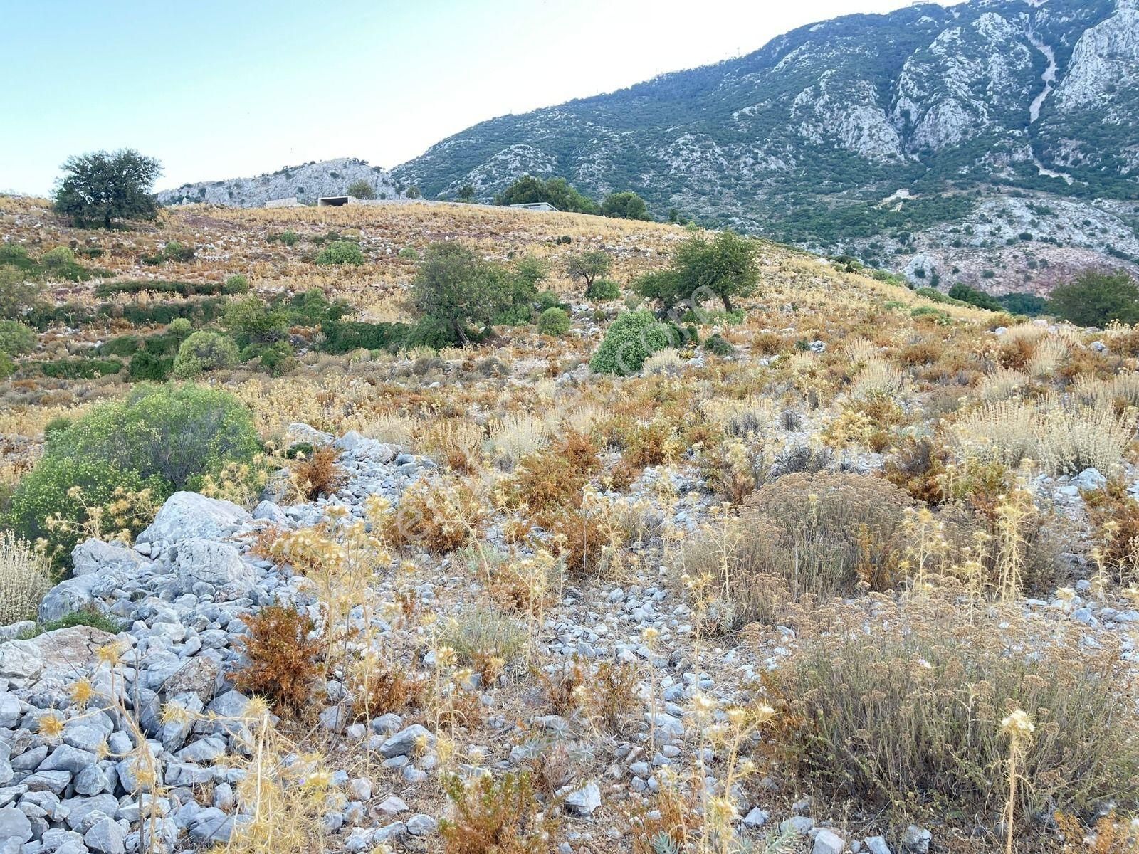 Goldhouse Dan Satılık Karaağaç Kozağacı Nda Deniz Manzaralı Tarla - Görsel 11