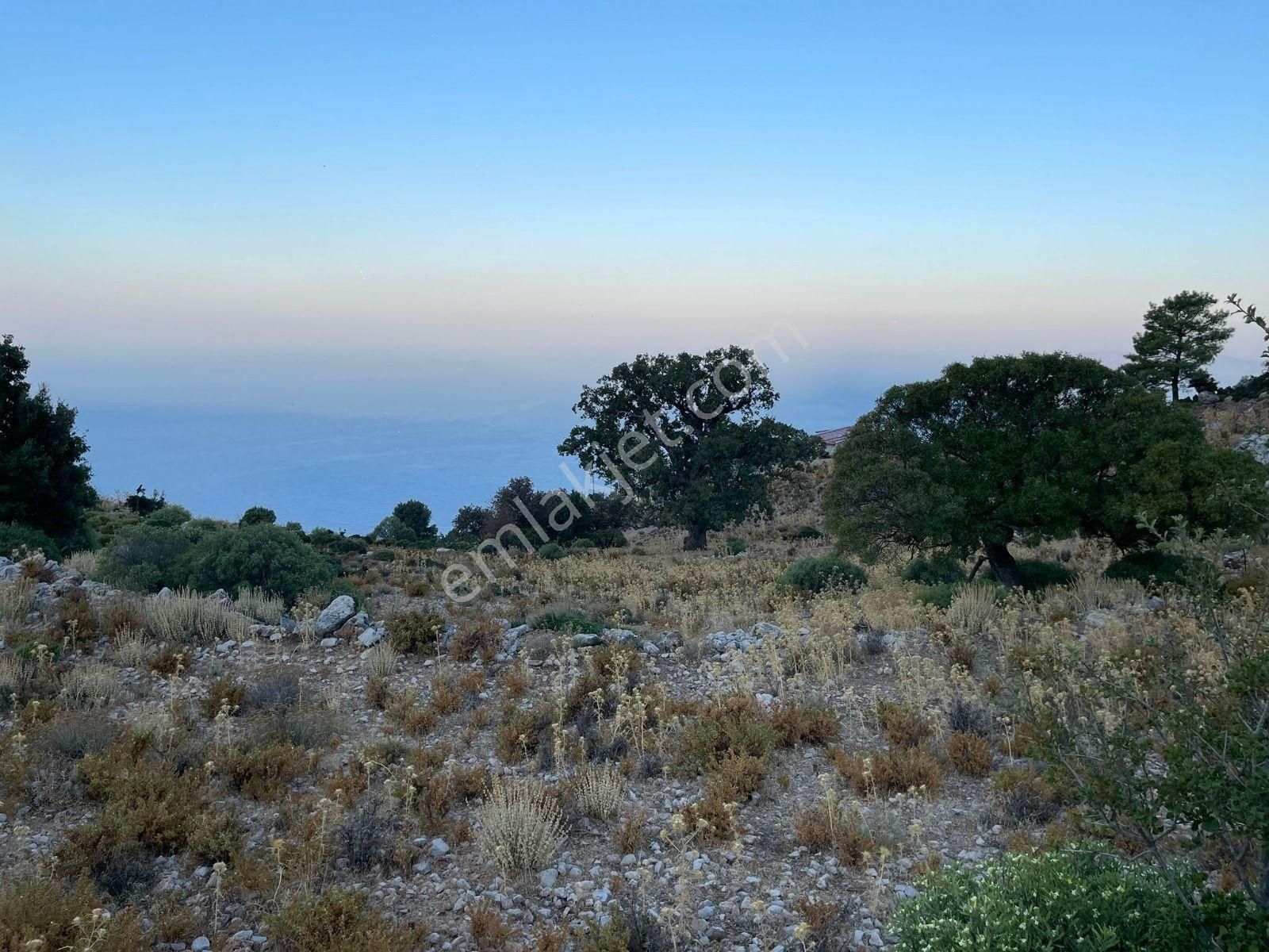 Goldhouse Dan Satılık Karaağaç Kozağacı Nda Deniz Manzaralı Tarla - Görsel 16