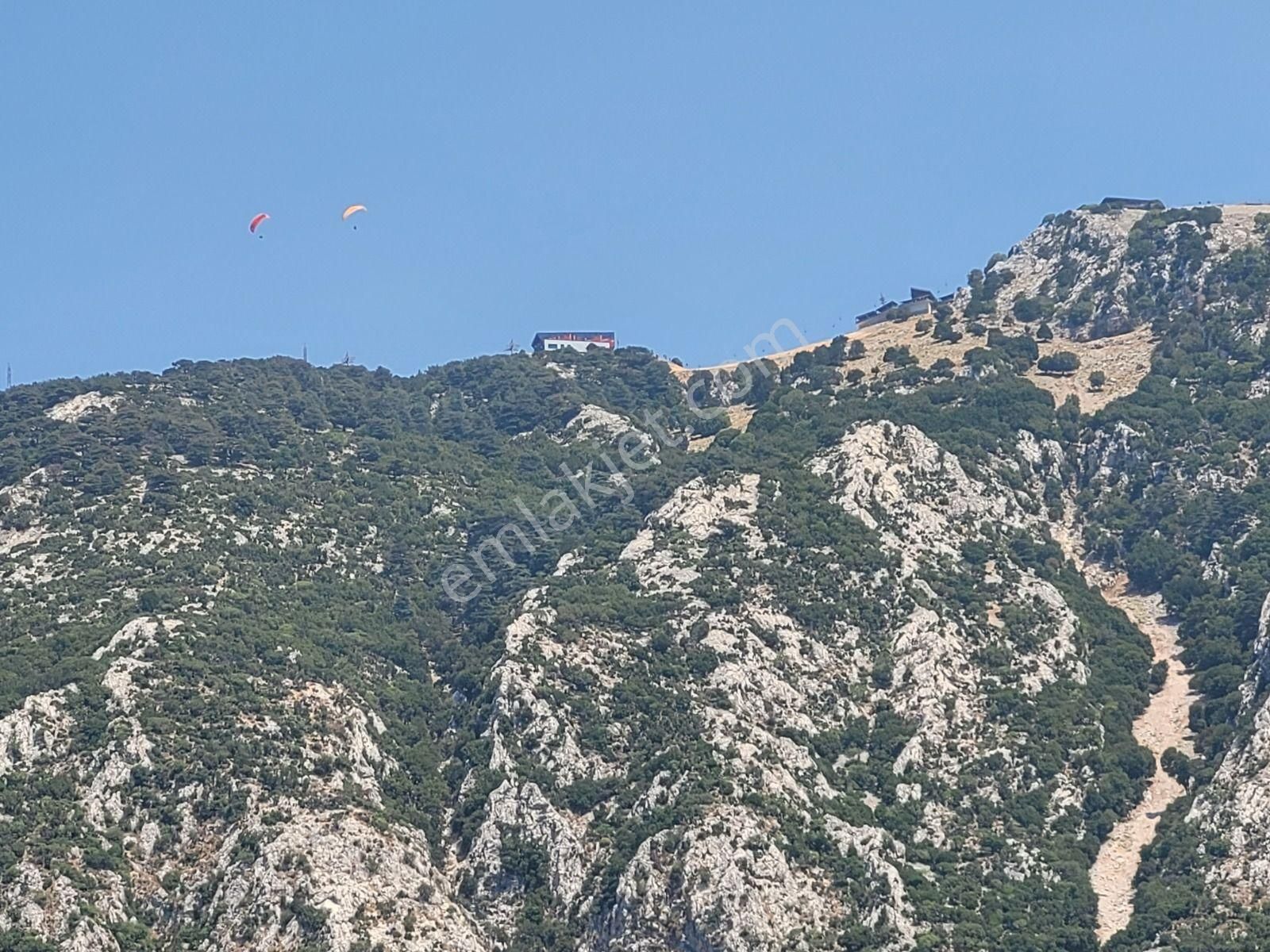 Goldhouse Dan Satılık Karaağaç Kozağacı Nda Deniz Manzaralı Tarla - Görsel 8