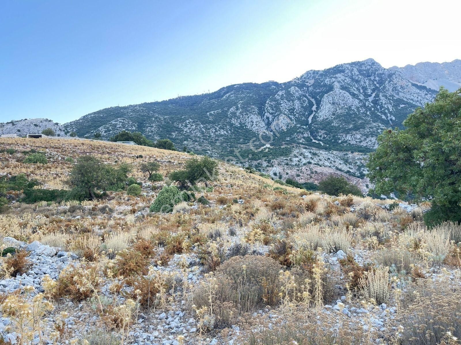 Goldhouse Dan Satılık Karaağaç Kozağacı Nda Deniz Manzaralı Tarla - Görsel 12